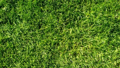 عکس کفپوش چمن مصنوعی