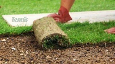 عکس کفپوش چمن طبیعی